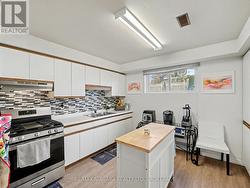 Basement Kitchen - 
