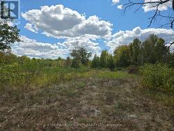 103080 HIGHWAY 7 HIGHWAY E  Marmora And Lake (Marmora Ward), ON K0K 2M0