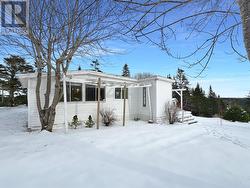 204 Vineland Road  Salmonier, NL None