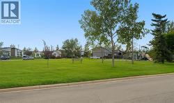 Your view of park and greenspace from living room! - 