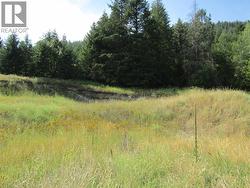 8841 Riverside Drive  Grand Forks, BC V0H 1H0