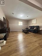 Lower level Living/Games area - 