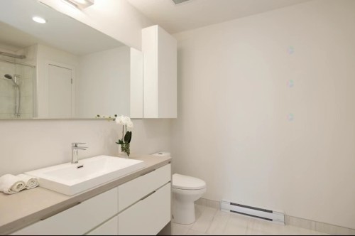 Salle de bains - Th2-1288 Rue St-Antoine O., Montréal (Ville-Marie), QC - Indoor Photo Showing Bathroom