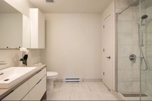 Salle de bains - Th2-1288 Rue St-Antoine O., Montréal (Ville-Marie), QC - Indoor Photo Showing Bathroom