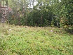 793 Lahave Street  Bridgewater, NS B4V 2V2