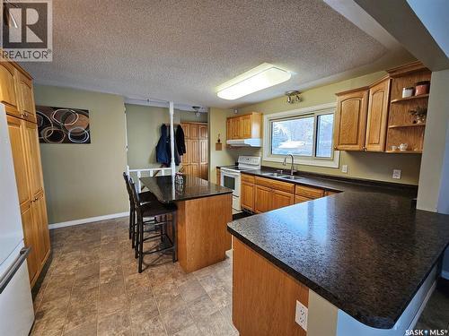 35 Mountain Drive, Carlyle, SK - Indoor Photo Showing Kitchen With Double Sink