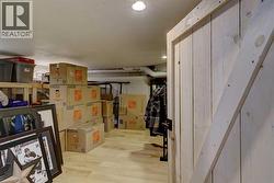 BASEMENT STORAGE - 