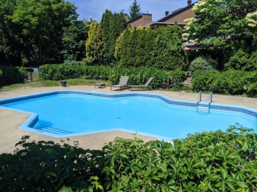 Pool - 708Z Rue De La Noue, Montréal (Verdun/Île-Des-Soeurs), QC - Outdoor With In Ground Pool With Backyard