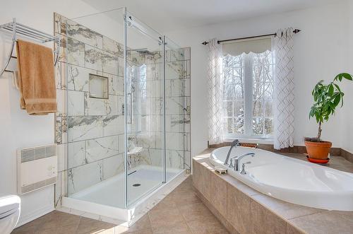 Salle de bains - 725 Ch. Du Boisé, Sutton, QC - Indoor Photo Showing Bathroom