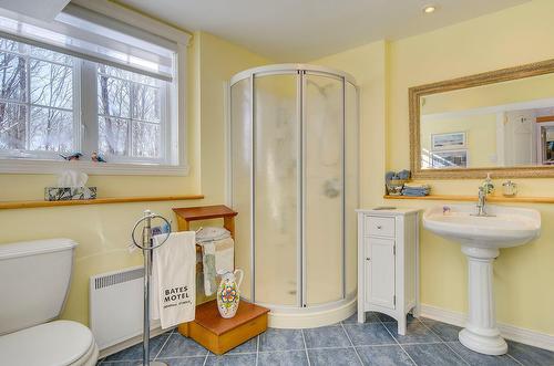 Salle de bains - 725 Ch. Du Boisé, Sutton, QC - Indoor Photo Showing Bathroom