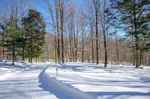Autre - 725 Ch. Du Boisé, Sutton, QC - Outdoor With View