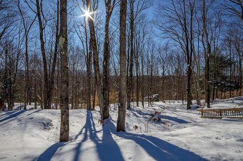Vue - 725 Ch. Du Boisé, Sutton, QC - Outdoor With View