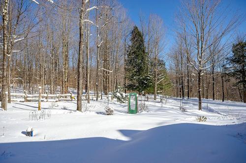 Terre/Terrain - 725 Ch. Du Boisé, Sutton, QC - Outdoor With View