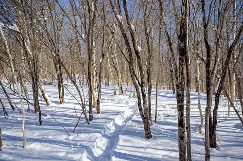 Terre/Terrain - 725 Ch. Du Boisé, Sutton, QC - Outdoor With View
