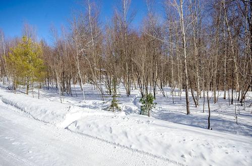 Terre/Terrain - 725 Ch. Du Boisé, Sutton, QC - Outdoor With View