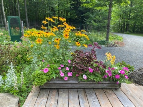 Extérieur - 725 Ch. Du Boisé, Sutton, QC - Outdoor
