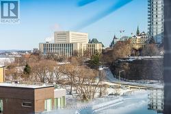 View of the Parliament. - 