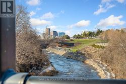 Nature at your doorstep! - 