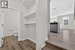 Built-ins with Coat Hooks - 