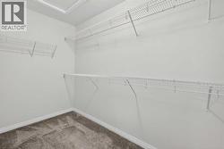 Massive Walk-in Closet - 