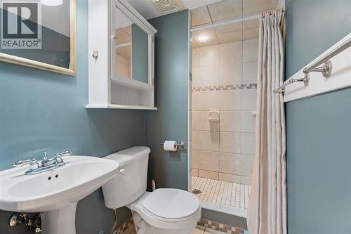 bathroom in basement - 164 Beddington Circle Ne, Calgary, AB - Indoor Photo Showing Bathroom