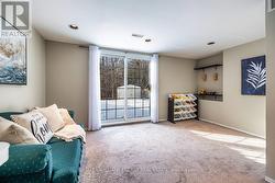 Lower Level Rec. Room - 