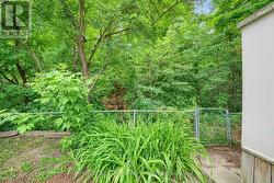 Ravine Lot - 