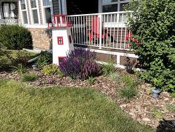 Front yard-Summer photo - 