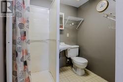 basement bathroom - 