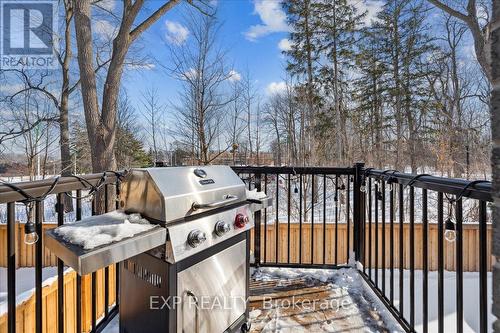 Rear Deck - 29 Briar Court, Halton Hills, ON - Outdoor