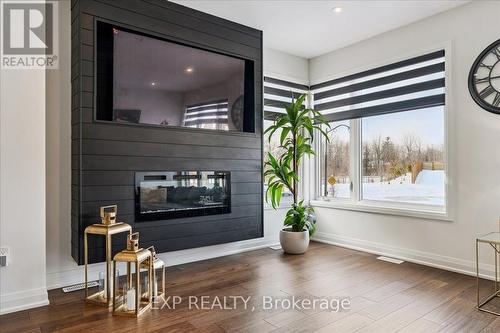 Custom Fireplace Feature Wall - 29 Briar Court, Halton Hills, ON - Indoor