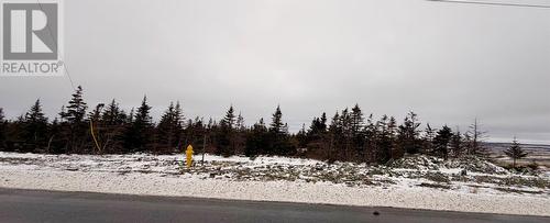 50 Beaumont Hamel Way, St John'S, NL 