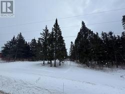 5 Meadow Brook Rd Ext  Reidville, NL A8A 0B4