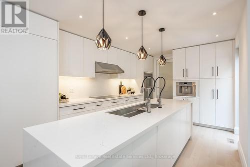 111 Judith Crescent, Hamilton (Ancaster), ON - Indoor Photo Showing Kitchen With Double Sink With Upgraded Kitchen