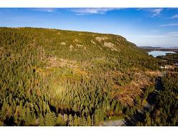 0 Drockety Road  Emerald Vale, NL A0A 2X0