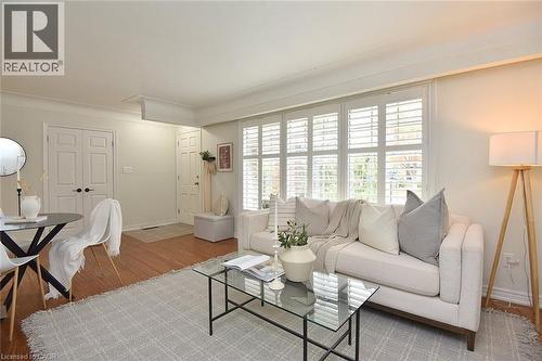 130 Delmar Drive, Hamilton, ON - Indoor Photo Showing Living Room