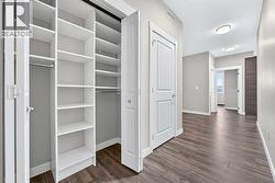 Closet with Built-Ins - 