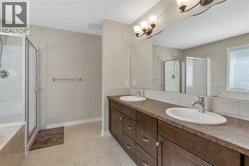 224 Panamount Point Nw, Calgary, AB - Indoor Photo Showing Bathroom