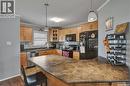 204 110 Shillington Crescent, Saskatoon, SK  - Indoor Photo Showing Kitchen With Double Sink 