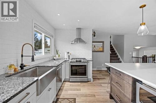 123 Sackville Drive Sw, Calgary, AB - Indoor Photo Showing Kitchen With Upgraded Kitchen