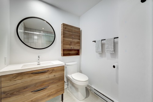 Bathroom - 620-7227 Boul. Newman, Montréal (Lasalle), QC - Indoor Photo Showing Bathroom