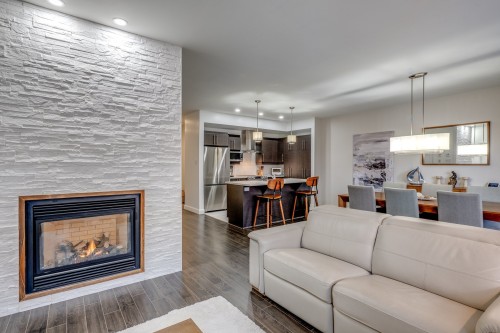 Salon - 310-1450 Av. De Rochechouart, Saint-Jérôme, QC - Indoor Photo Showing Living Room With Fireplace