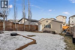 Fully Landscaped Backyard - 