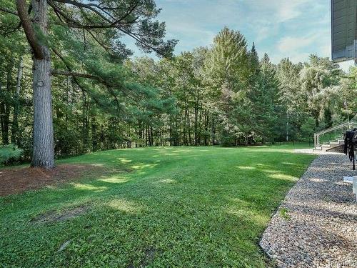 Cour - 59 Ch. Wright, Chelsea, QC - Outdoor