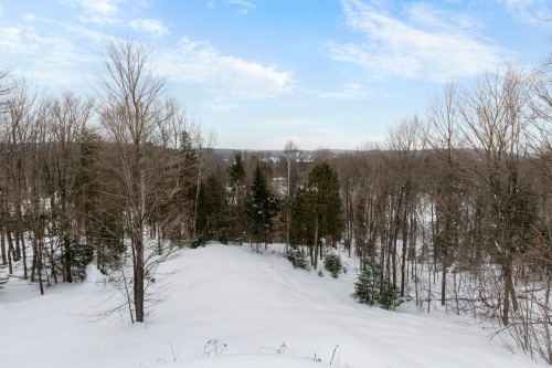 Vue - 19 Ch. De La Fleur-De-Lune, Saint-Sauveur, QC - Outdoor With View