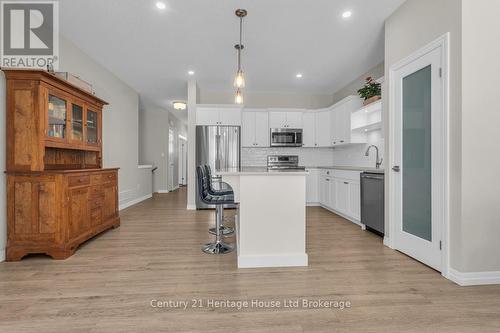 19 Livingston Drive, Tillsonburg, ON - Indoor Photo Showing Kitchen With Upgraded Kitchen