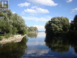 5 min walk to lakefront parks - 