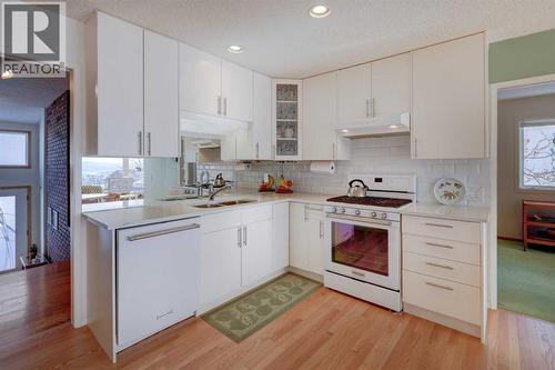 5943 Silver Ridge Drive Nw, Calgary, AB - Indoor Photo Showing Kitchen With Double Sink