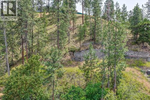 773 Barnaby Road, Kelowna, BC - Outdoor With View