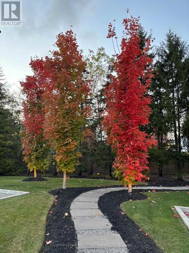 125 Paliser Court, Oakville, ON - Outdoor